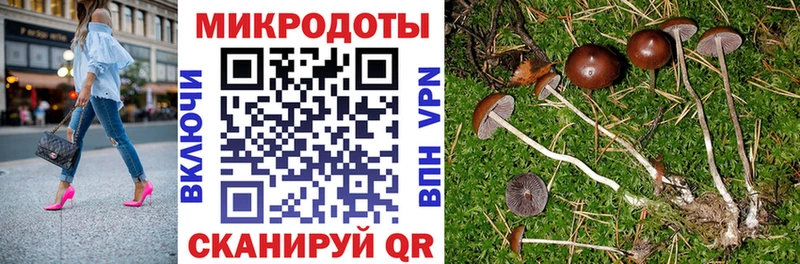 Галлюциногенные грибы прущие грибы Калязин